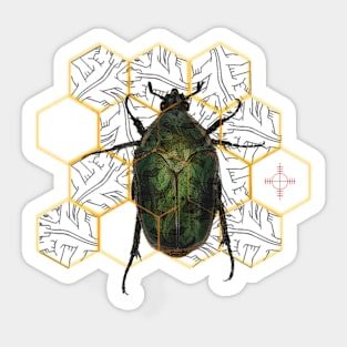 Escher's Junebug Sticker